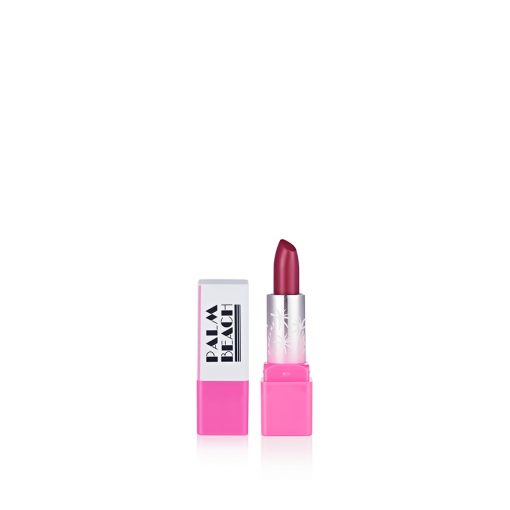 Mini Lipstick for Beauty Makeup Packaging and Cosmetics